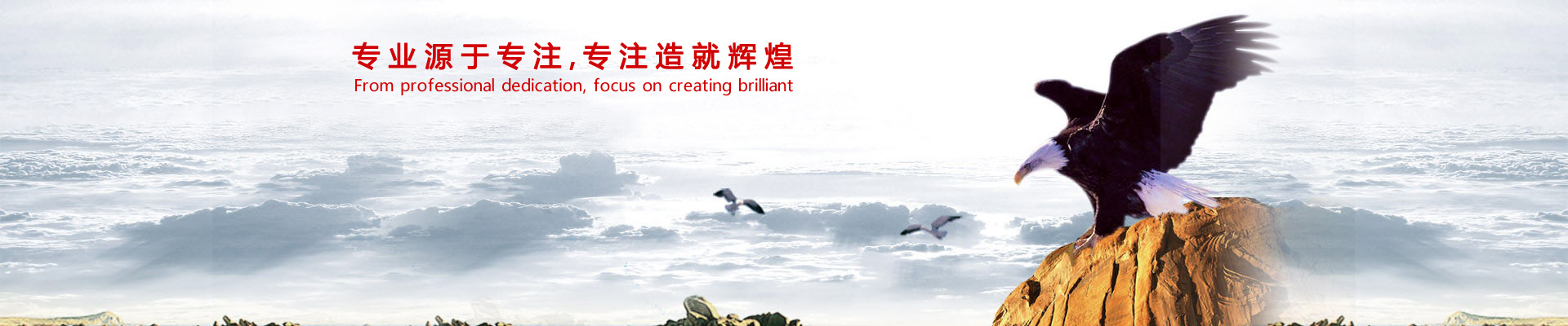 专业源于专注，专注造就辉煌